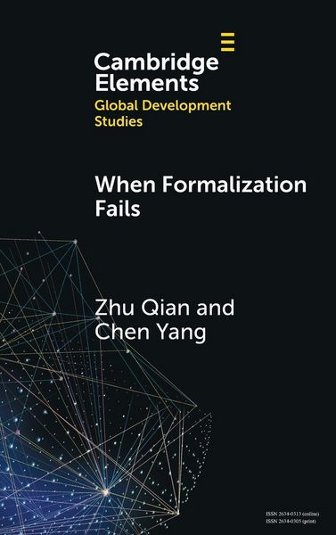 Produktbild: When Formalization Fails
