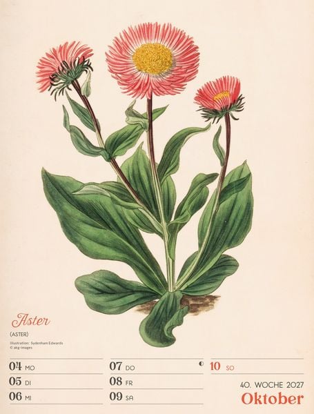 Produktbild: Ars Floralis Wochenplaner Kalender 2027