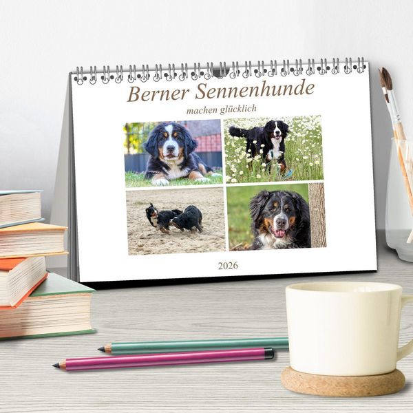 Produktbild: Berner Sennenhunde machen gl&uuml;cklich (Tischkalender 2026 DIN A5 quer), CALVENDO Monatskalender