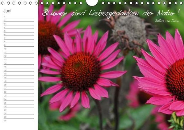 Produktbild: Befl&uuml;gelt (Wandkalender immerw&auml;hrend DIN A4 quer)