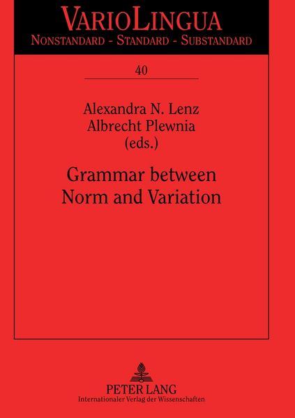 Produktbild: Grammar between Norm and Variation