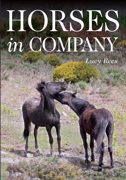 Produktbild: Horses in Company