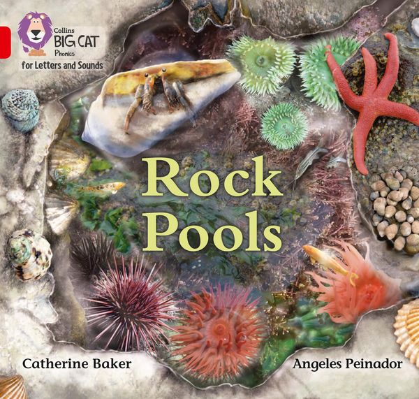 Produktbild: Big Cat - Rock Pools