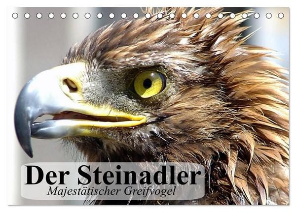 Der Steinadler. Majestätischer Greifvogel (Tischkalender 2026 DIN A5 quer), CALVENDO Monatskalender