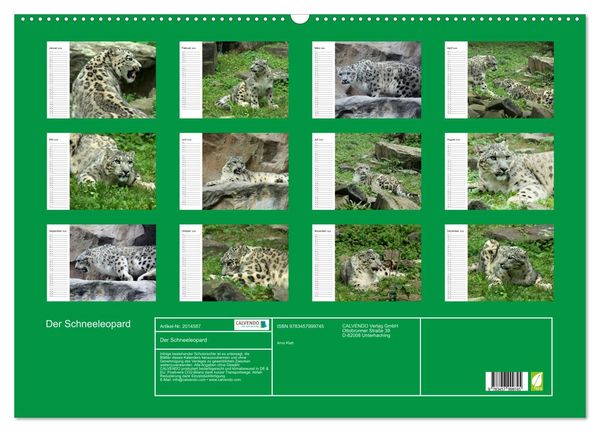 Produktbild: Der Schneeleopard (Wandkalender 2026 DIN A2 quer), CALVENDO Monatskalender