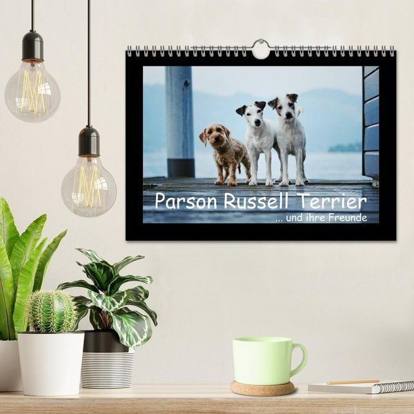 Produktbild: Parson Russell Terrier (Wandkalender 2026 DIN A4 quer), CALVENDO Monatskalender