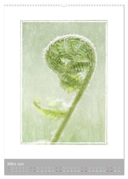 Produktbild: Kunstwerk Natur (Wandkalender 2026 DIN A2 hoch), CALVENDO Monatskalender
