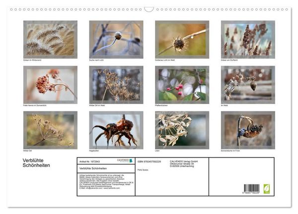 Produktbild: Verbl&uuml;hte Sch&ouml;nheiten (Wandkalender 2026 DIN A2 quer), CALVENDO Monatskalender