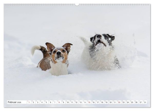 Produktbild: Emotionale Momente: Wild und Jagd. (Wandkalender 2026 DIN A2 quer), CALVENDO Monatskalender