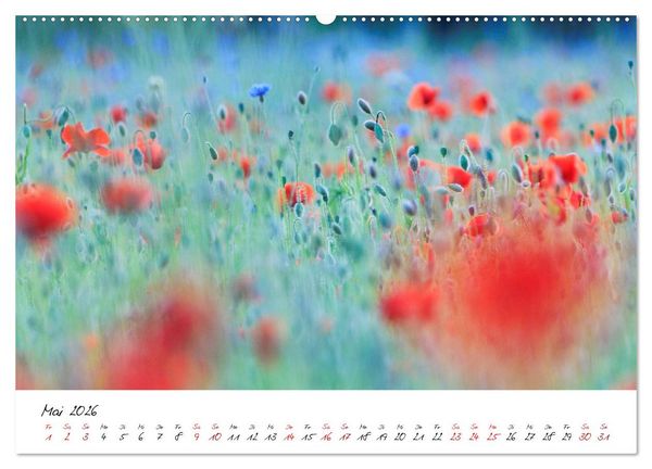 Produktbild: Mohnwiesen (Wandkalender 2026 DIN A2 quer), CALVENDO Monatskalender