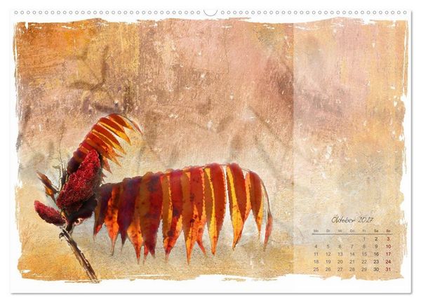 Produktbild: Natur und Farbe Fotografie trifft Aquarell (Wandkalender 2027 DIN A2 quer), CALVENDO Monatskalender