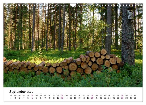 Produktbild: S&uuml;dschweden Smaland 2026 (Wandkalender 2026 DIN A3 quer), CALVENDO Monatskalender