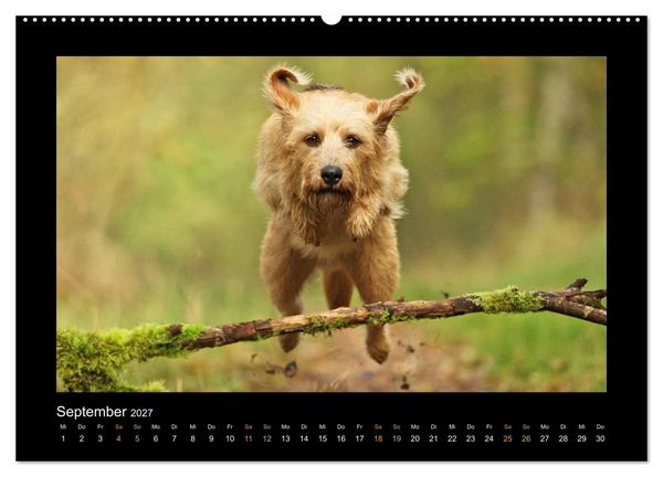 Produktbild: MIXlinge (hochwertiger Premium Wandkalender 2027 DIN A2 quer), Kunstdruck in Hochglanz