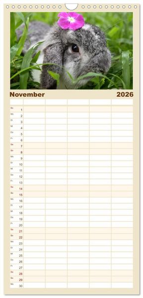 Produktbild: Familienplaner 2026 - Hasen - Die niedlichen Hoppeltiere. mit 5 Spalten (Wandkalender, 21 x 45 cm) CALVENDO