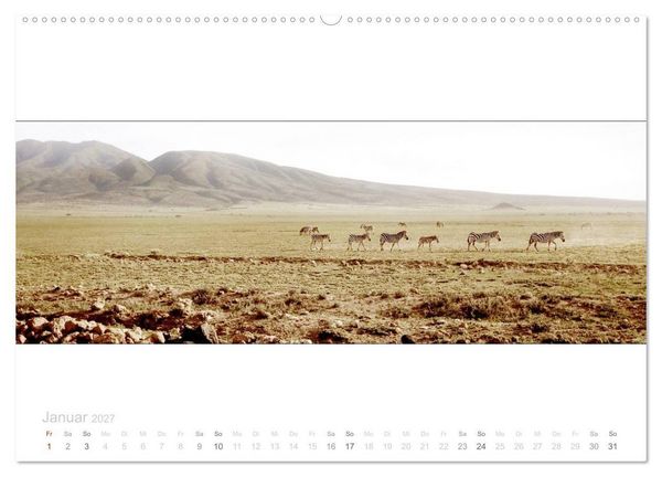 Produktbild: Serengeti Panorama (Wandkalender 2027 DIN A2 quer), CALVENDO Monatskalender
