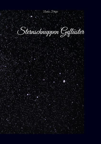 Produktbild: Sternschnuppen Gefl&uuml;ster