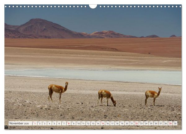Produktbild: Bolivien - Unterwegs im Hochland (Wandkalender 2026 DIN A3 quer), CALVENDO Monatskalender