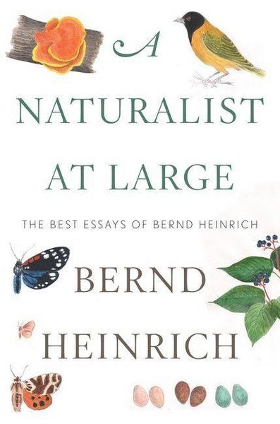 Produktbild: A Naturalist at Large