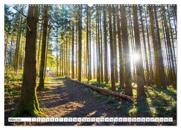 Produktbild: Idyllischer Schwarzwald (Wandkalender 2026 DIN A2 quer), CALVENDO Monatskalender