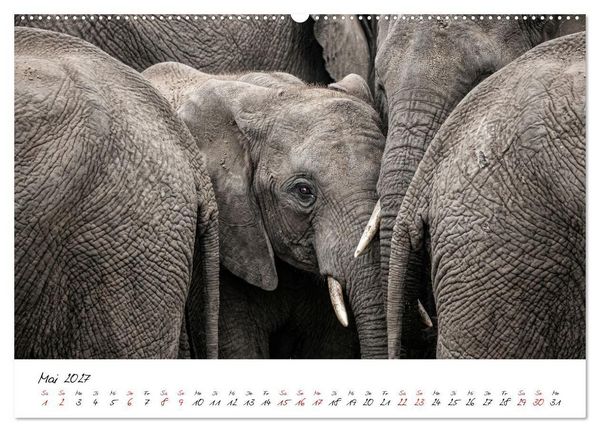 Produktbild: Better Together - Herdenmomente (Wandkalender 2027 DIN A2 quer), CALVENDO Monatskalender
