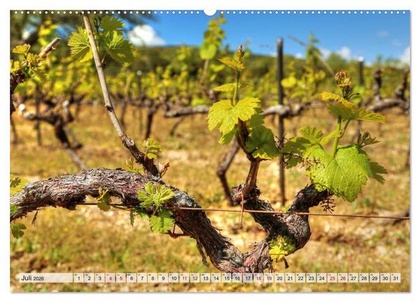 Produktbild: Provence - Magie des Lichtes (hochwertiger Premium Wandkalender 2026 DIN A2 quer), Kunstdruck in Hochglanz