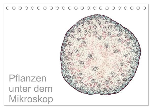 Produktbild: Pflanzen unter dem Mikroskop (Tischkalender 2026 DIN A5 quer), CALVENDO Monatskalender