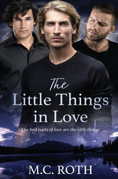 Produktbild: The Little Things in Love