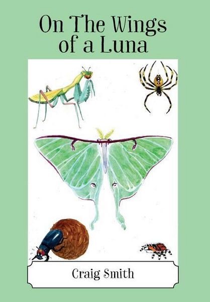Produktbild: On The Wings of a Luna