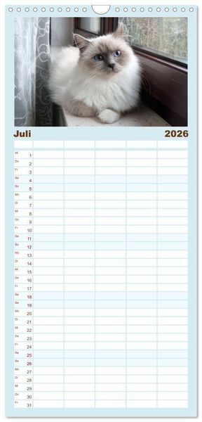 Produktbild: Familienplaner 2026 - Heilige Birma Katzen - Eine Rasse mit traumhaft blauen Augen. mit 5 Spalten (Wandkalender, 21 x 45 cm) CALVENDO