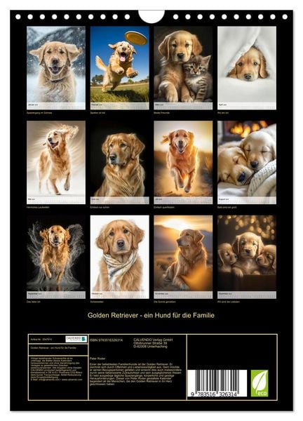 Produktbild: Golden Retriever - ein Hund f&uuml;r die Familie (Wandkalender 2026 DIN A4 hoch), CALVENDO Monatskalender