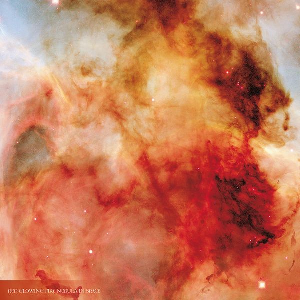 Produktbild: Where Stars are Born 2024