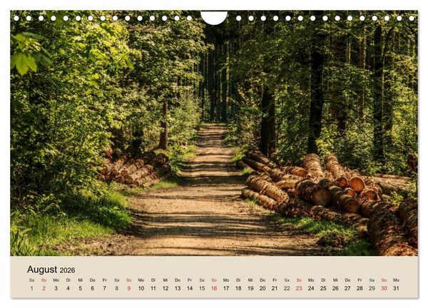 Produktbild: Der Wald. Durch zauberhafte Waldlandschaften (Wandkalender 2026 DIN A4 quer), CALVENDO Monatskalender