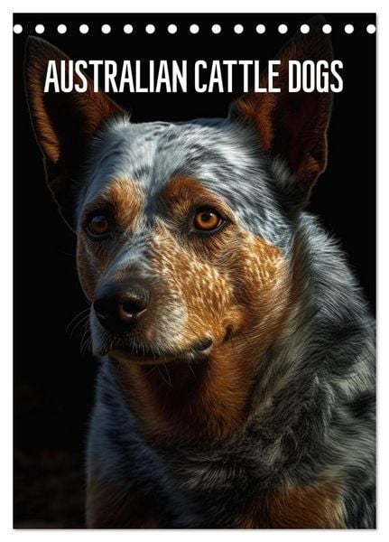 Produktbild: Australian Cattle Dogs (Tischkalender 2026 DIN A5 hoch), CALVENDO Monatskalender