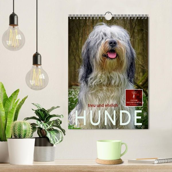 Produktbild: Hunde - treu und ehrlich (Wandkalender 2026 DIN A4 hoch), CALVENDO Monatskalender