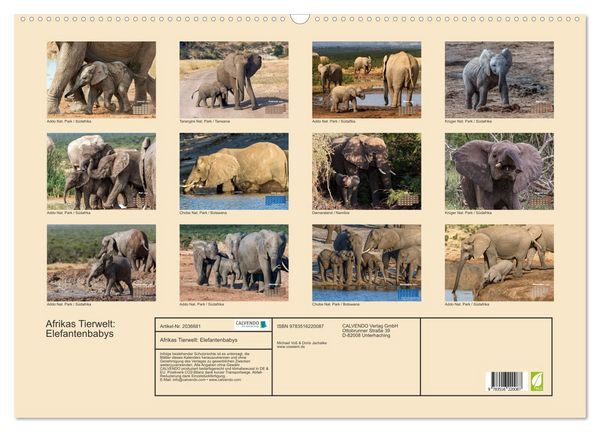 Produktbild: Afrikas Tierwelt: Elefantenbabys (Wandkalender 2026 DIN A2 quer), CALVENDO Monatskalender