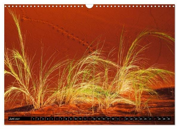 Produktbild: Namib Naukluft Nationalpark. NAMIBIA 2027 (Wandkalender 2027 DIN A3 quer), CALVENDO Monatskalender