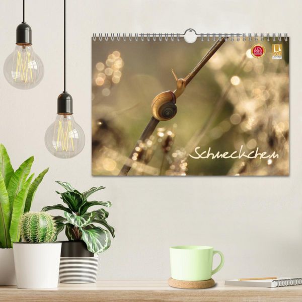 Produktbild: Schneckchen (Wandkalender 2026 DIN A4 quer), CALVENDO Monatskalender
