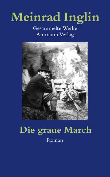Produktbild: Gesammelte Werke in Einzelausgaben / Die graue March