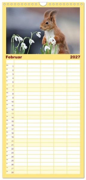 Produktbild: Familienplaner 2027 - Eichh&ouml;rnchen in zauberhaften Posen mit 5 Spalten (Wandkalender, 21 x 45 cm) CALVENDO