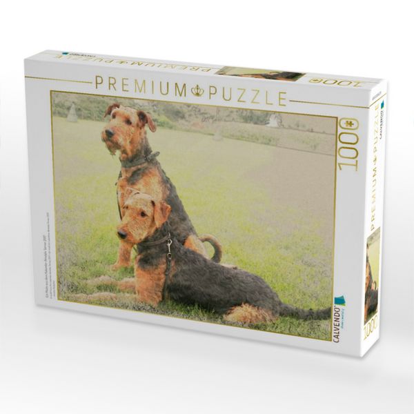 Produktbild: CALVENDO Puzzle Ein Motiv aus dem Kalender Airedale Terrier 2017 | 1000 Teile Lege-Gr&ouml;&szlig;e 64x48cm Foto-Puzzle f&uuml;r gl&uuml;ckliche Stunden