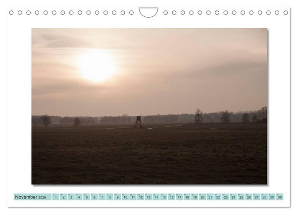 Produktbild: Augenblicke im M&uuml;ritz Nationalpark (Wandkalender 2026 DIN A4 quer), CALVENDO Monatskalender