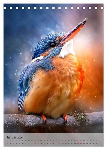 Produktbild: Schillernder Eisvogel (Tischkalender 2026 DIN A5 hoch), CALVENDO Monatskalender
