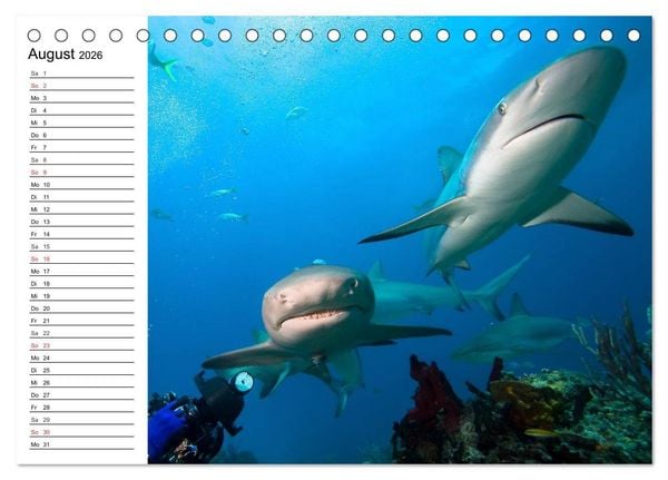Produktbild: Faszination Tauchen. Neptuns Reich (Tischkalender 2026 DIN A5 quer), CALVENDO Monatskalender