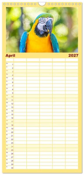 Produktbild: Familienplaner 2027 - Aras und bunte Sittiche: Exotische Papageien-Portr&auml;ts mit 5 Spalten (Wandkalender, 21 x 45 cm) CALVENDO
