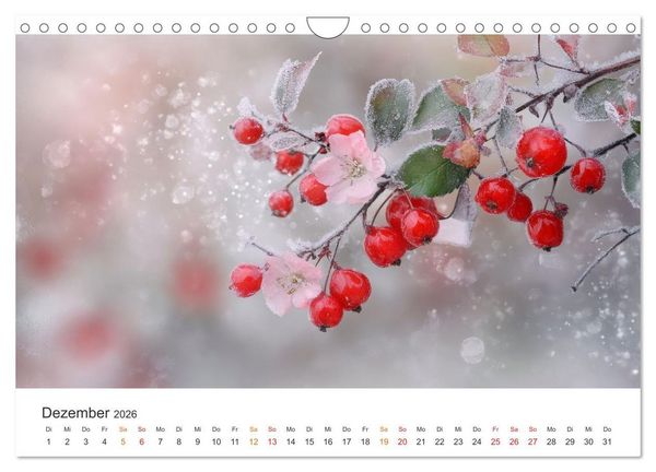 Produktbild: Gartenkalender - Symphonie aus Obst und Fantasie (Wandkalender 2026 DIN A4 quer), CALVENDO Monatskalender