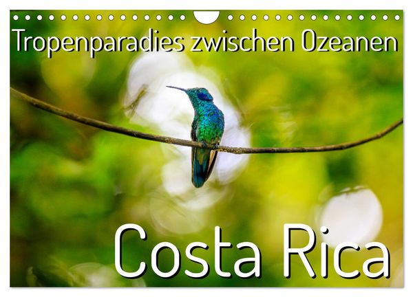 Tropenparadies zwischen Ozeanen Costa Rica (Wandkalender 2025 DIN A4 quer), CALVENDO Monatskalender