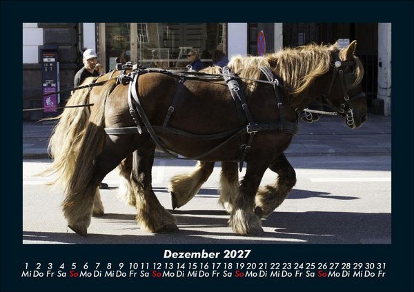 Produktbild: Die Welt der Pferde 2027 Fotokalender DIN A5