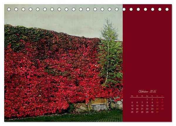 Produktbild: Kalenderspr&uuml;che (Tischkalender 2026 DIN A5 quer), CALVENDO Monatskalender