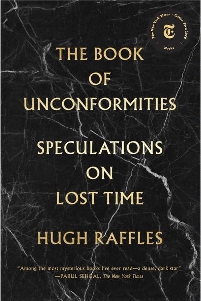 Produktbild: The Book of Unconformities