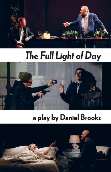 Produktbild: The Full Light of Day